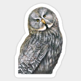 Great Gray Owl Sticker